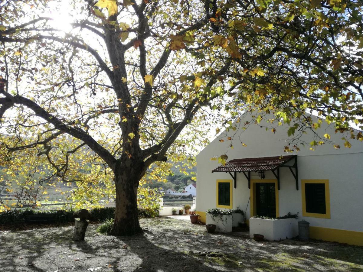 Montejunto Villas - Casa Do Platano Cadaval Ngoại thất bức ảnh
