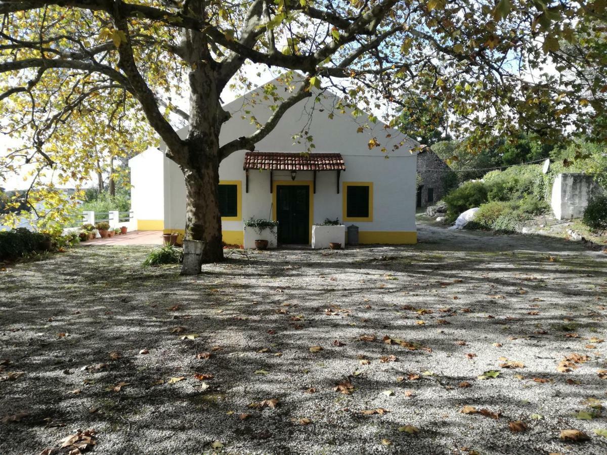 Montejunto Villas - Casa Do Platano Cadaval Ngoại thất bức ảnh