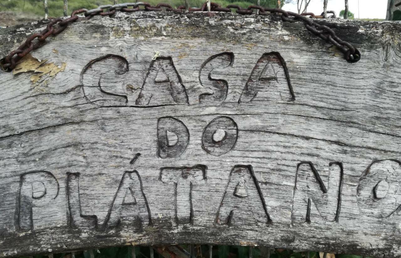 Montejunto Villas - Casa Do Platano Cadaval Ngoại thất bức ảnh