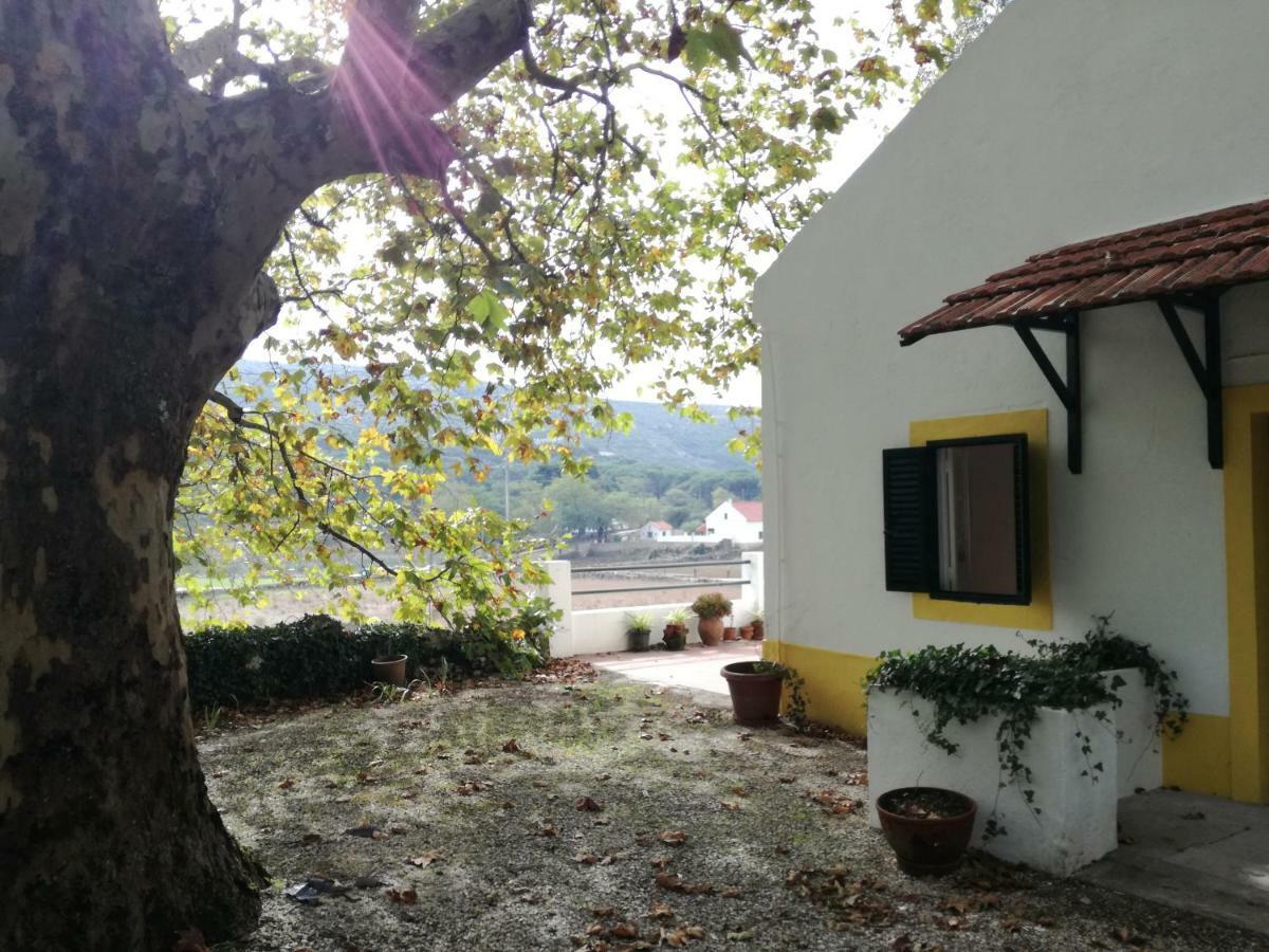 Montejunto Villas - Casa Do Platano Cadaval Ngoại thất bức ảnh